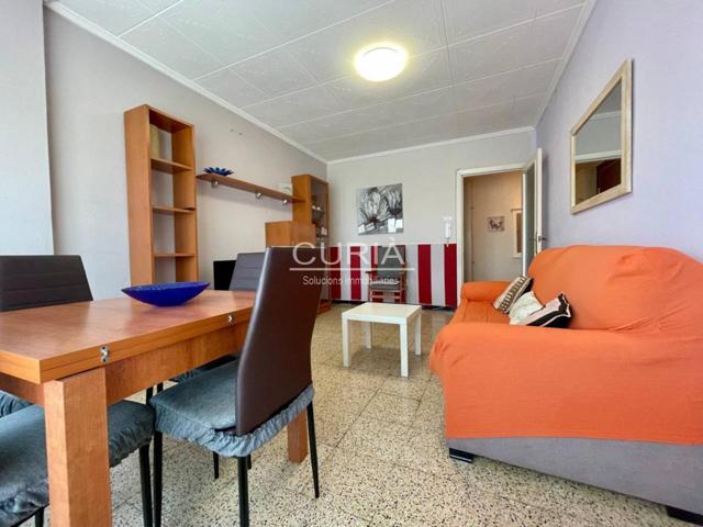 PISO DE ALQUILER ESTUDIANTES EN ZONA ALTA ideal estudiantes de Medicina o Agrónomos. photo 0