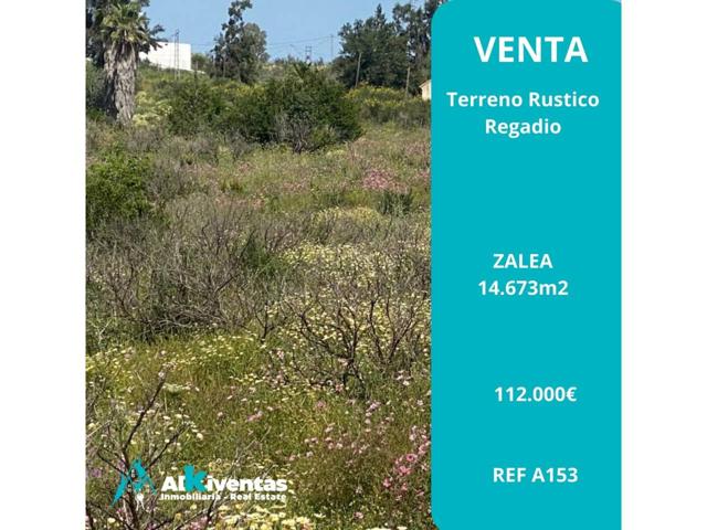 Ref A153 Terreno rustico de regadío en Zalea photo 0