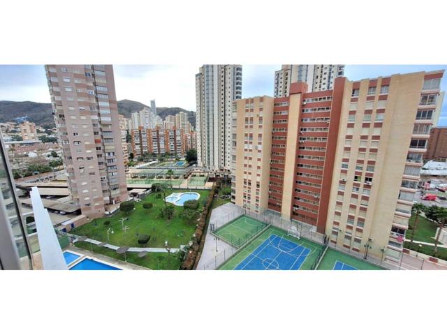 Piso de 3 dormitorios en Benidorm photo 0