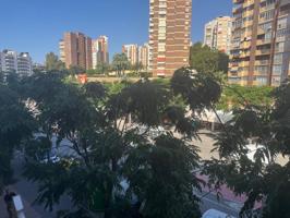 PIso en Benidorm photo 0