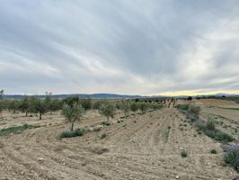 Terreno agrario en Chimeneas, Granada. photo 0