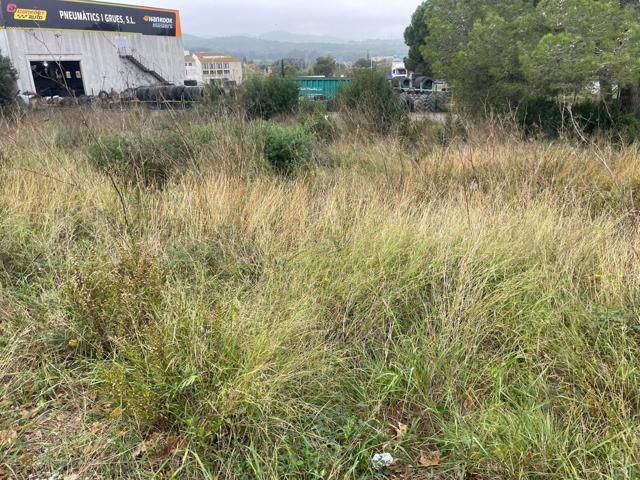 Terrenos Edificables En venta en Palafrugell photo 0