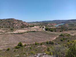 SE COMPRAN FINCAS DE REGADIO A PARTIR DE 300 HECTAREAS photo 0