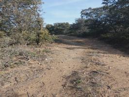 SE VENDE FINCA DE SECANO EN SALAS ALTAS DE CASI 5 HECTAREAS TODA DE CARRASCAS, PRECIOSAS VISTAS photo 0