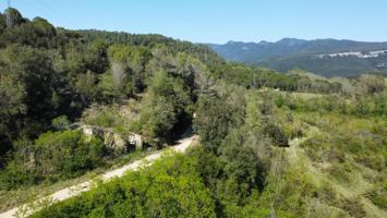 Masia - Sant Aniol de Finestres photo 0