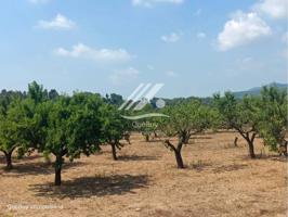 Terreno en venta en Valls photo 0