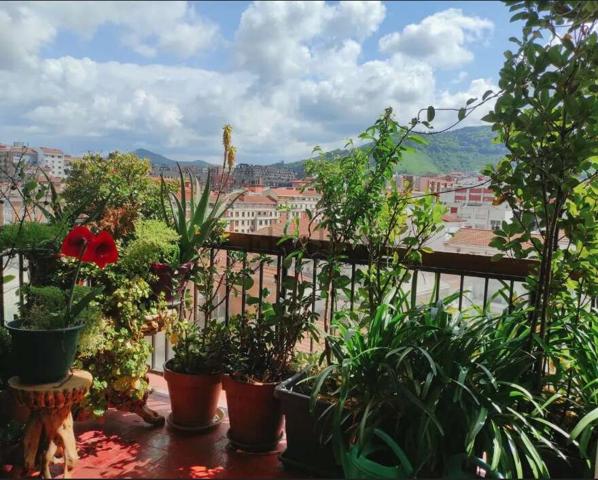 En calle Nicola Alcorta, piso de 4 habitaciones, terraza con vistas y Garaje con acceso directo. photo 0