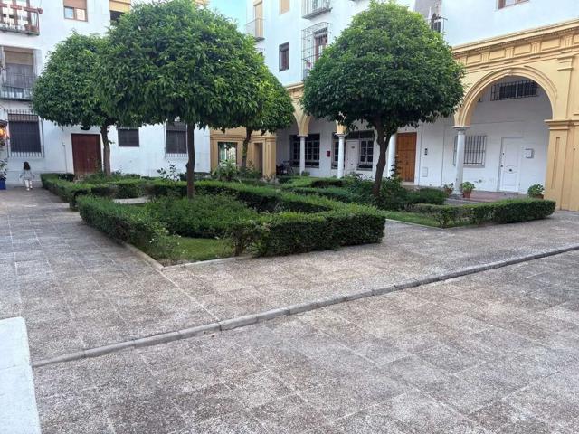 Piso en plaza Compañía, 1, Centro, Jerez de la Frontera photo 0