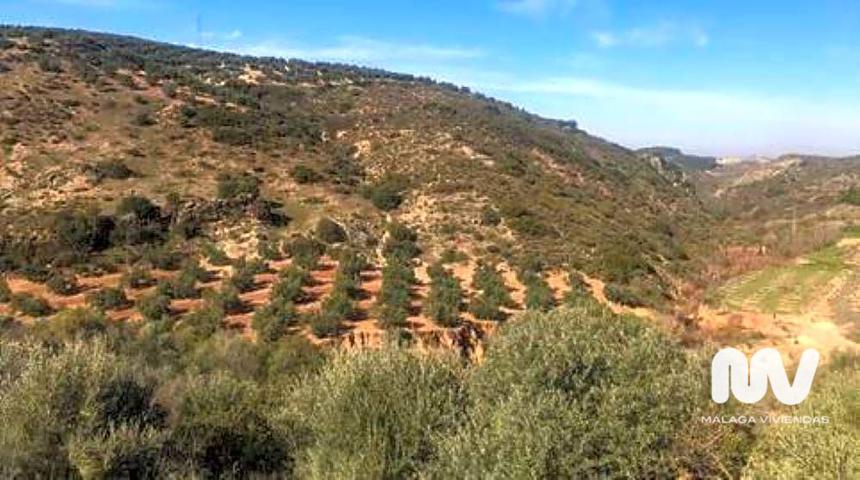 Terreno en Paraje de la Doctora, Antequera photo 0