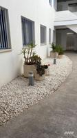 Apartamento en planta baja en Los Boliches photo 0