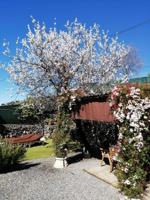 Casa Rústica en venta en Guía de Isora de 167 m2 photo 0