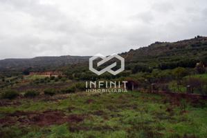 ¿Quieres vivir en el alto Tajo?... Aquí tienes un lienzo en blanco photo 0