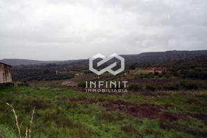 ¿Quieres vivir en el alto Tajo?... Aquí tienes un lienzo en blanco photo 0