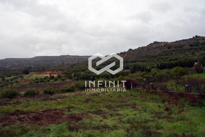 ¿Quieres vivir en el alto Tajo?... Aquí tienes un lienzo en blanco photo 0