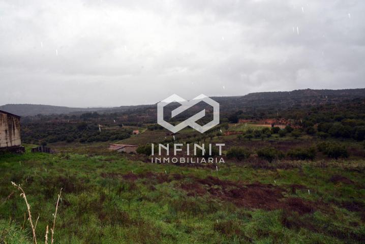 ¿Quieres vivir en el alto Tajo?... Aquí tienes un lienzo en blanco photo 0