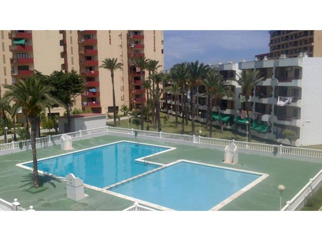 Apartamento en alquiler en Eurovosa-La Manga photo 0
