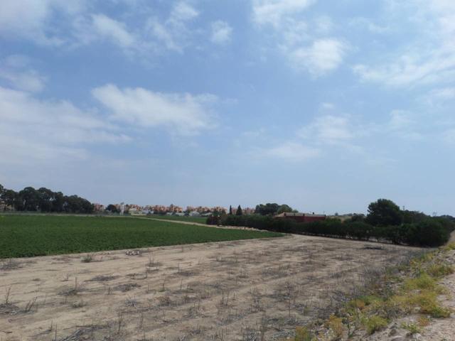 Parcela Rustica en venta en Los Alcázares photo 0