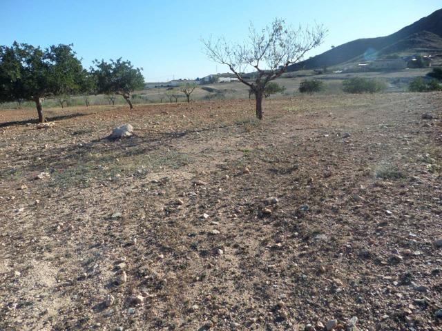 Finca Rustica en venta photo 0