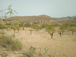 Venta de terreno en Los Puertos de Santa Bárbara photo 0