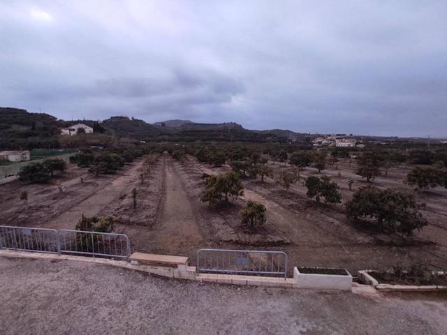 Amplio terreno con aguacates en Vélez-Málaga. photo 0