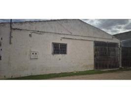 Nave Agrícola Minaya photo 0