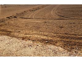 PARCELA CAZALLA photo 0