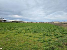 Terreno Urbanizable En venta en Algodor, 13, Mocejon photo 0