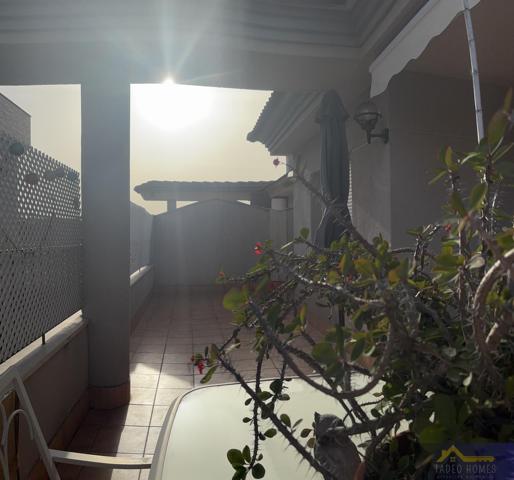 Unifamiliar Pareada En venta en Ronda Sur, S-n, Ronda Sur, Murcia photo 0