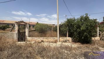 Terreno Urbanizable En venta en Paraje Ruices, S-n, Los Ruices, Los Martinez Del Puerto photo 0