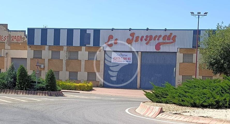 Nave Industrial en venta en Linares de 7500 m2 photo 0