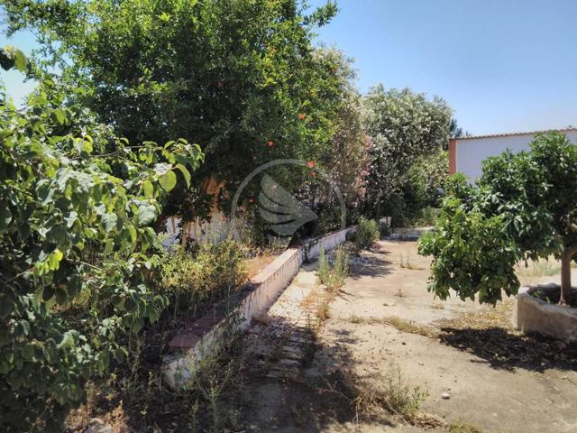 Venta Parcela photo 0