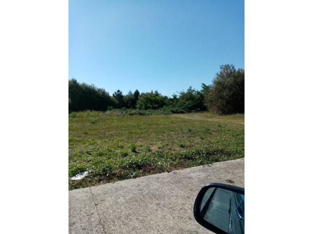 EN VENTA FINCA INDUSTRIAL photo 0