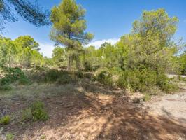 Otro En venta en Jávea - Xàbia photo 0