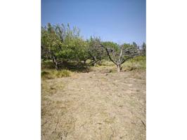 Se vende finca rustica en Arandiga (Zaragoza) photo 0