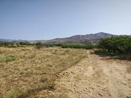 Finca rustica con riego en Aandiga (Zaragoza) photo 0