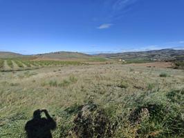 Se vende finca Rusrica Agraria en Calatayud photo 0