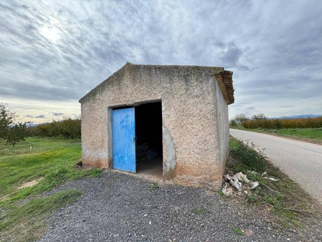 Se vende campo de Melocotoneros con gran productividad photo 0