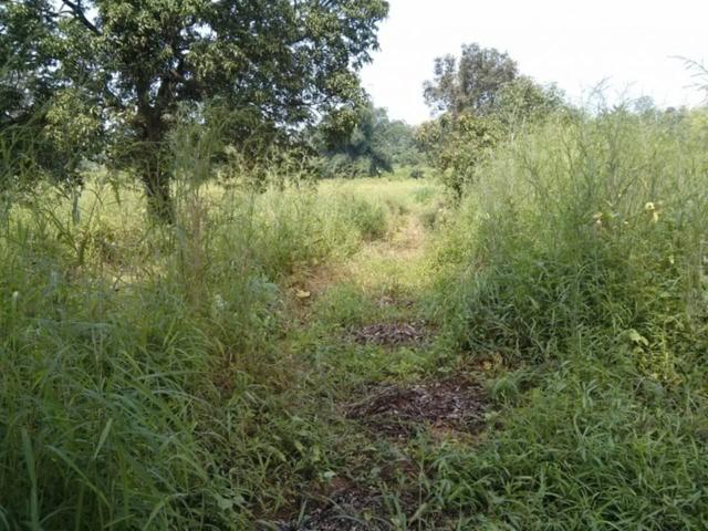 Se vende terreno rustico de 2225m2 en Bentue de Rasal photo 0