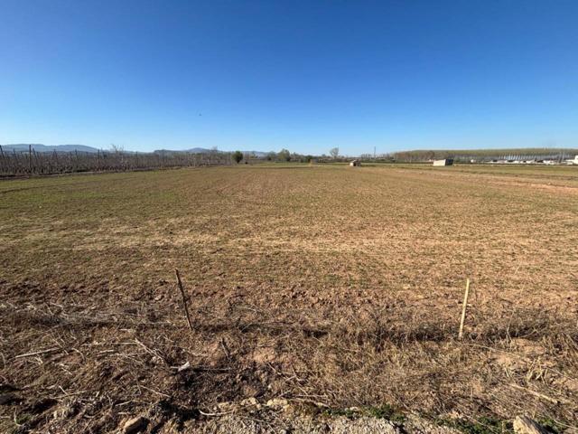 Se vende terreno para cultivo en La Almunia de doña godina photo 0