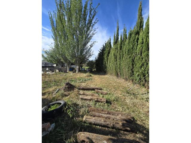 Se vende terreno en La Alfocea photo 0