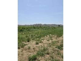 Se vende terreno Rustico y vallado en Plasencia(Zaragoza) photo 0