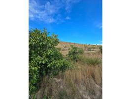 Se vende finca rustica de secano en Jarque de Moncayo photo 0