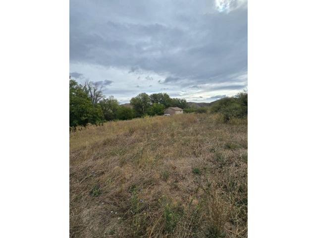 Se vende campo Regadio en Jarque de Moncayo photo 0