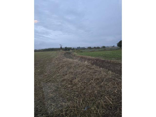 Se vende terreno agrario en Zaragoza Almazara photo 0