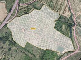 Se vende 4,5 hectareas de cultivo con balsa en Sabiñan photo 0