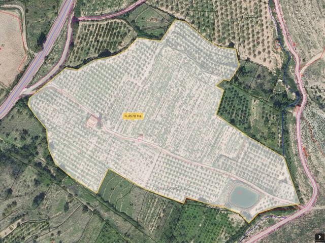 Se vende 4,5 hectareas de cultivo con balsa en Sabiñan photo 0