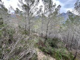 Terrenos Edificables En venta en Callosa d'en Sarrià photo 0