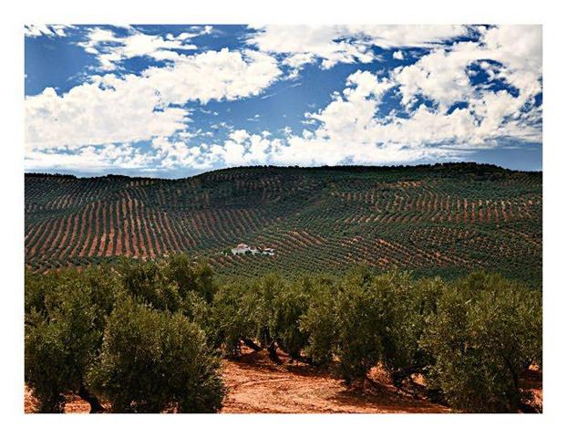 Agrícola En venta en Baeza photo 0