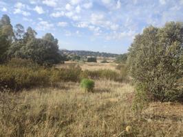 Terreno en Paisaje El Talaverano, Brazatortas photo 0