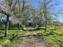 CASA RÚSTICA en VENTA en CARRETERA DE VILLAMAYOR photo 0